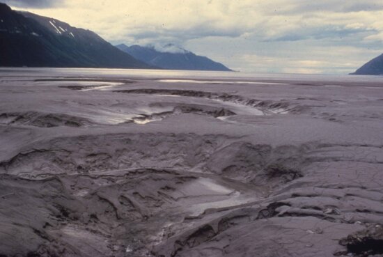 shot, mud, flat, unconsolidated, shore, Alaska