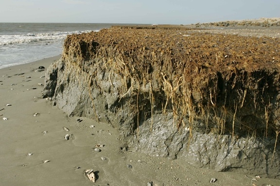 pláž, erózie, efekty, pobrežie