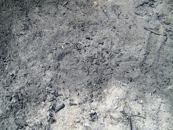 chão de cinza, queimada,