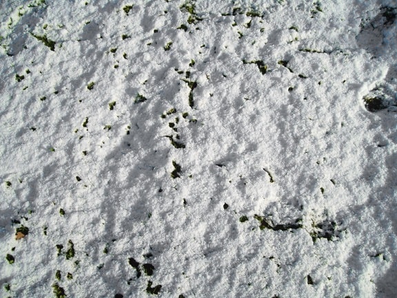 neige, herbe, terre, haute résolution