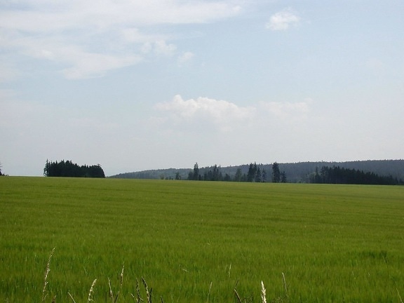 agricultural, fields