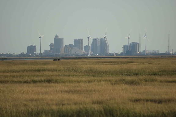 grass, field, foreground, wind turbines, city