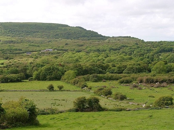 velden, heuvels, bossen, Ierland