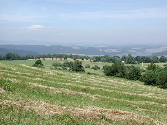 fields, hills