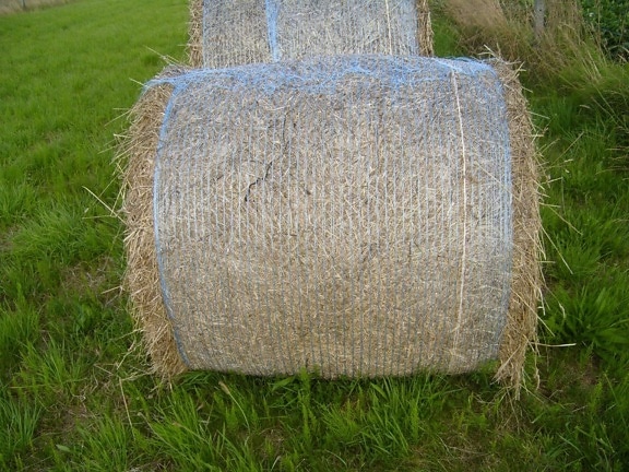 hay, roll, field