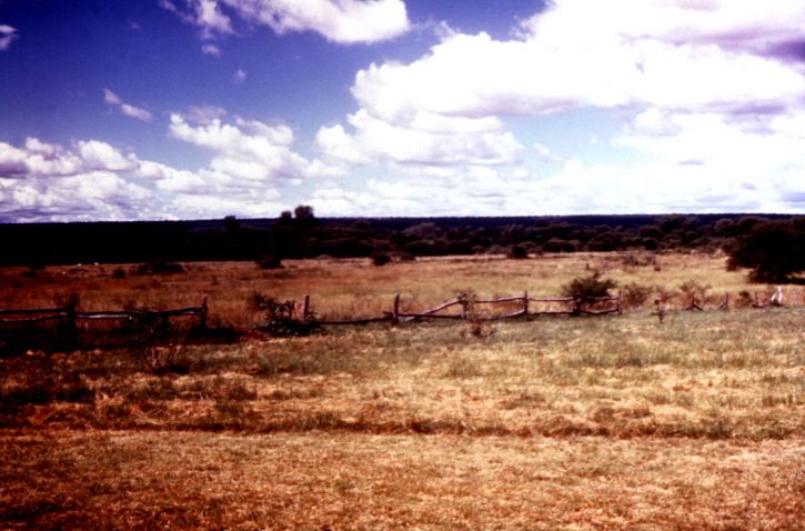imagen, Zimbabwe, campo