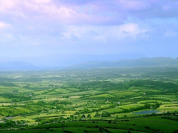 Ирландия, поля