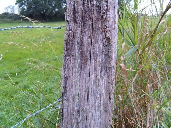 starý, dřevěný, plot