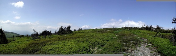 Panorama, polje
