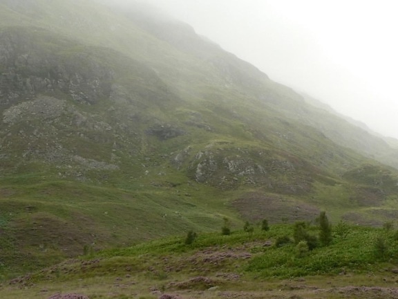 skotske, landskab, felt