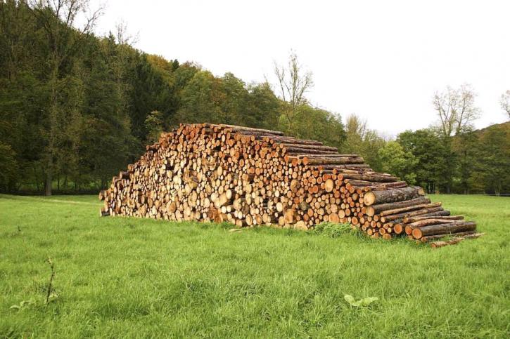 wooden, logs, field