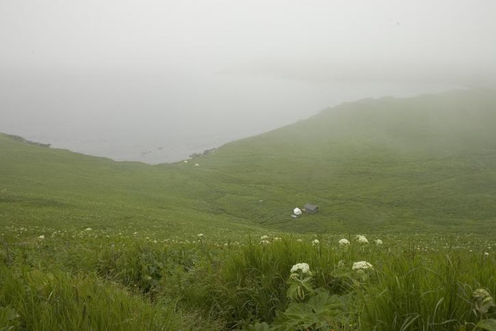 chowiet, île, camp, brouillard