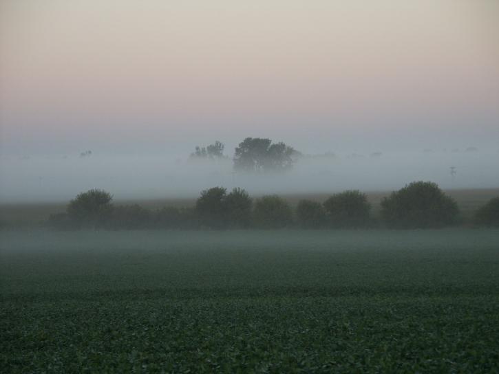 tôt, matin, brouillard