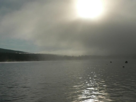 mist, lake