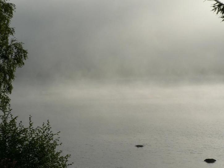 morning, mist, lake
