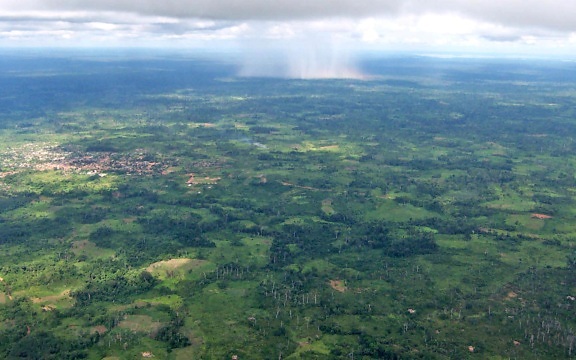 aerial, forest, settlements, rain, falling, distance