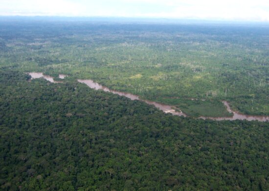 aerial, green, African, forest, Liberia