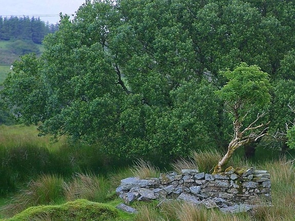 グレンゲッシュ パス、アイルランドの風景