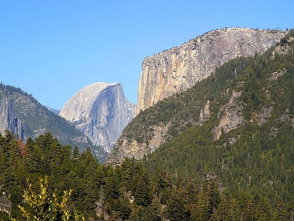 halfdome, Yosemite, forests