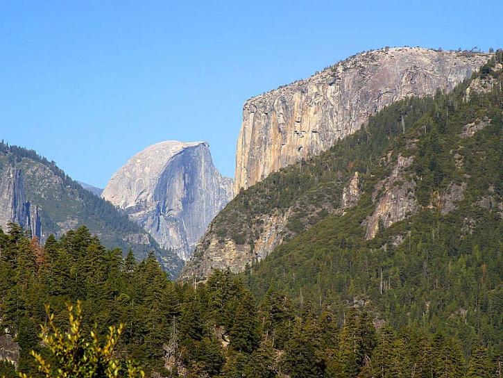 halfdome, Yosemite, metsien