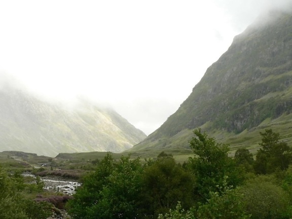 scozzese, paesaggio, Forrest