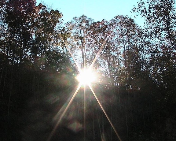 Răsărit de soare, pădure
