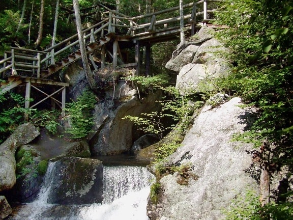 wooden, bridge, forest, water, rocks