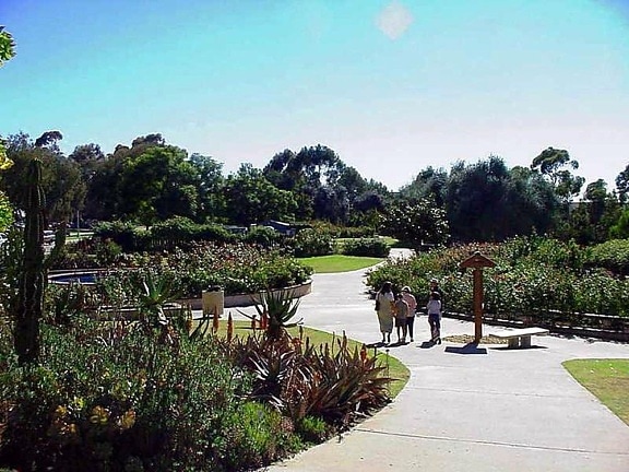 Balboa park, rózsák, kert, zöld