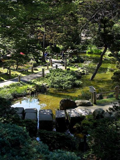 giapponese, tè, giardino, dorato, cancello, parco