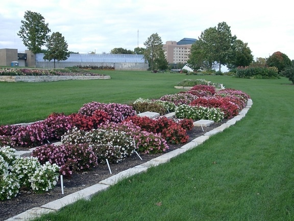 noleridge, Park, Zeder, Rapids, Iowa, Mauerwerk, Blumen