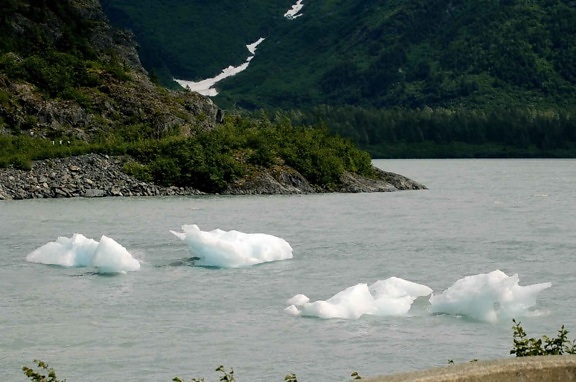 icebergs, de l'eau