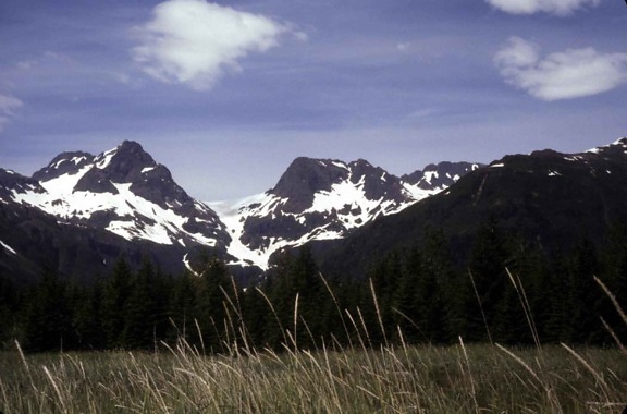 yalik, glaciar, parque nacional, de servicios, tierras, Alaska