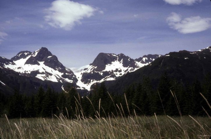 yalik, gletser, Taman Nasional, Layanan, tanah, Alaska
