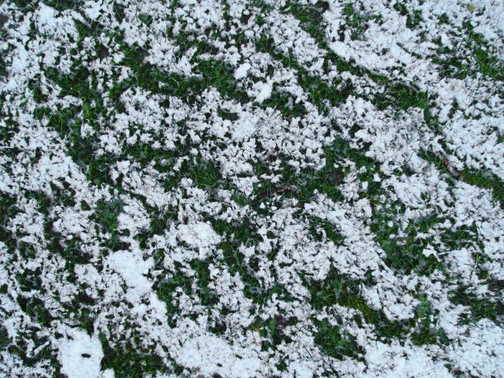 snehu, tráve, zem