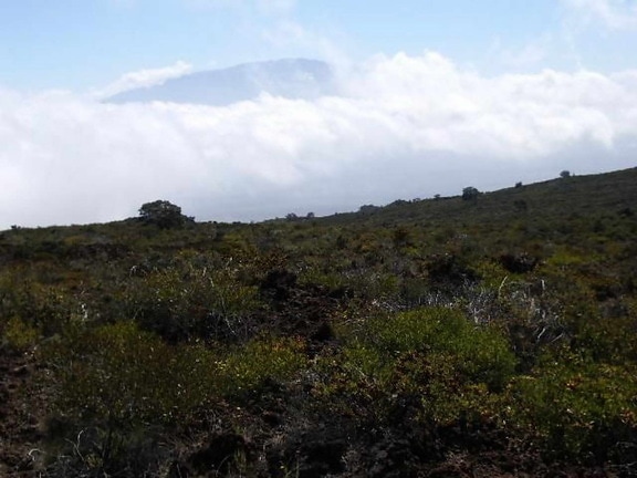 hualalai, Mauna, paisaje, montaña