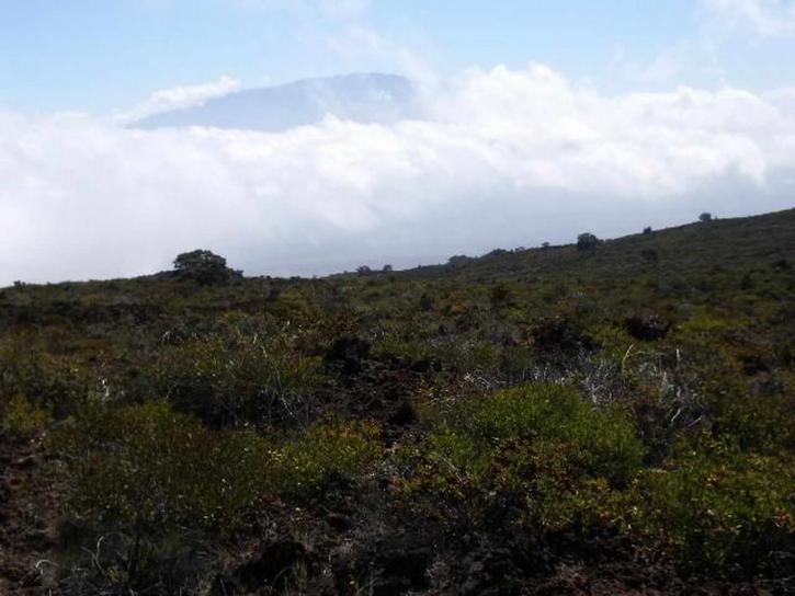 hualalai Мауна пейзаж, планина