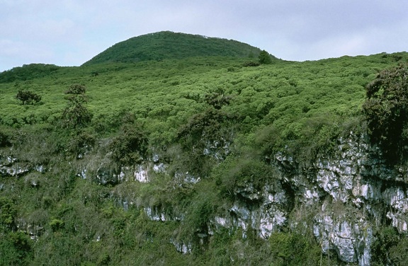 ярко зелено, хълмове, Галапагос, острови