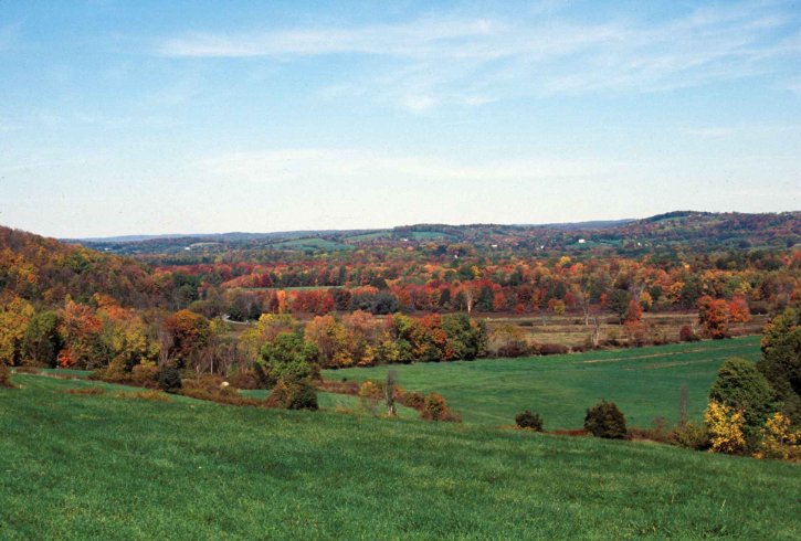 fall, foliage, hillside