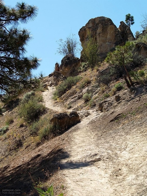 Hill, trail