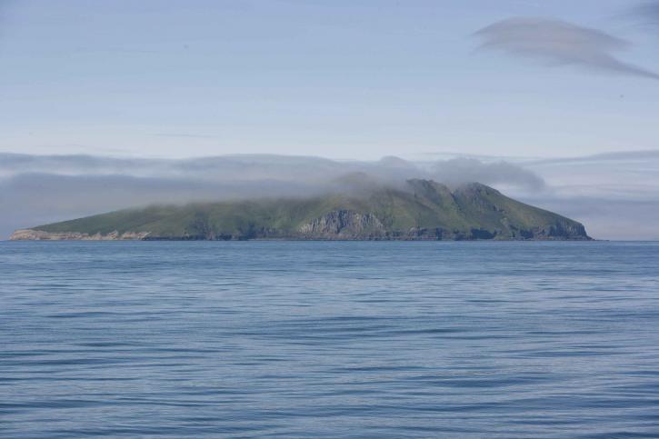 alaska, maritine, national park, kasatochi, island
