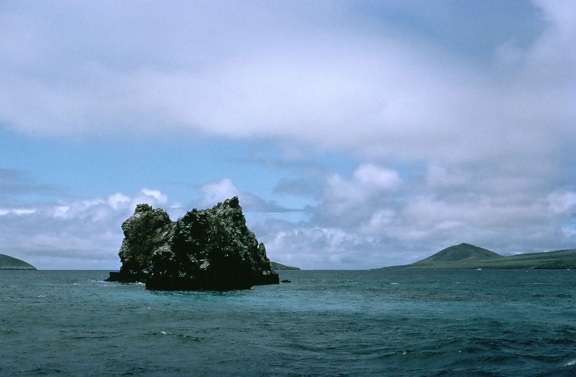 couronne, épines, récif, Galapagos, îles