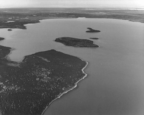 caribou, island, Skilak, lake