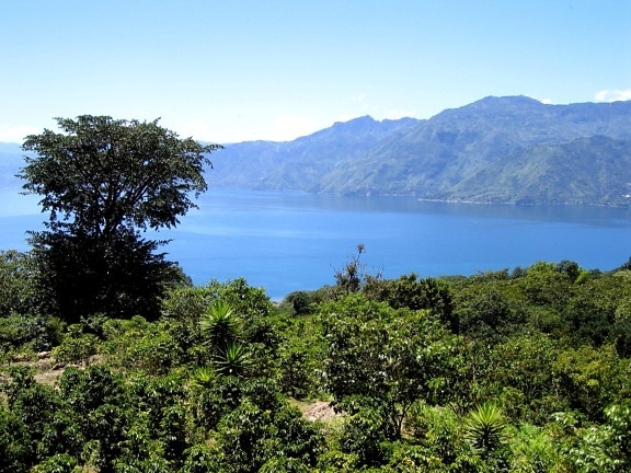 chuwanimajuyu, obecní, park, jezero, Guatemale Atitlan, založena, podpora