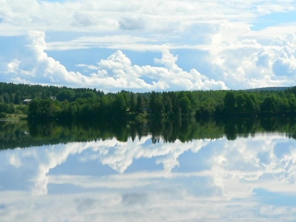 forest, sky, mirror, lake