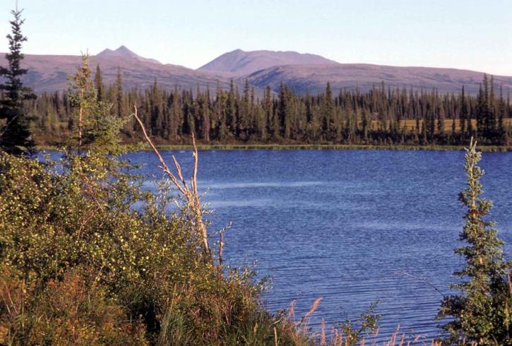 Lacul, nod, Fairbanks, Râul Ingruksuk, Râul