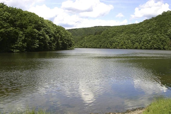 lac, nature, réserve