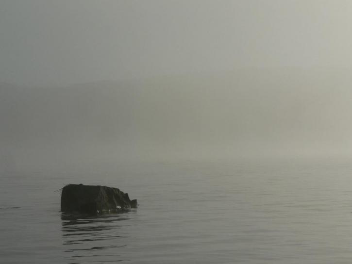 Lago, rocha, manhã, névoa