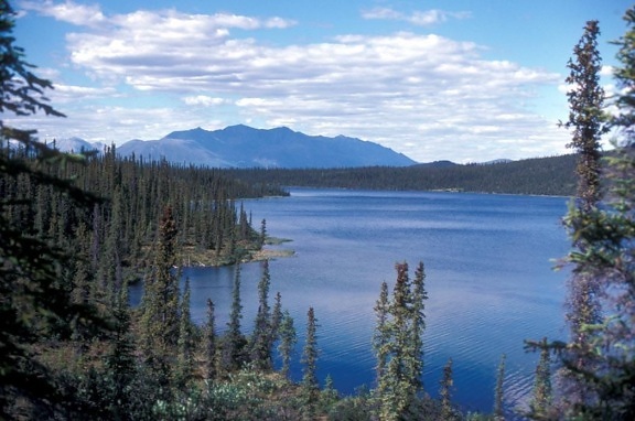 paysage, Blackfish, lac, Arctique, national, faune
