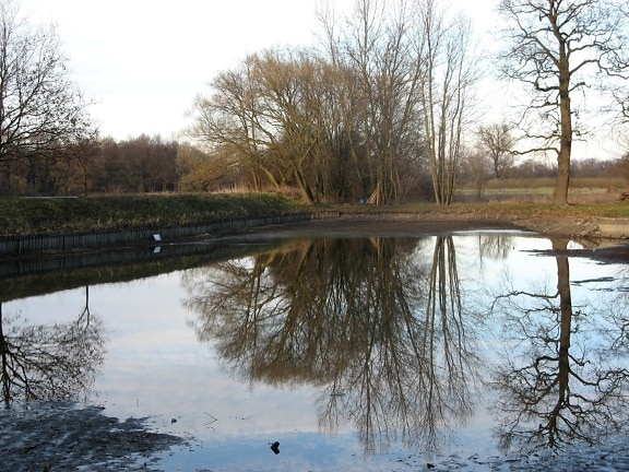 rybník, zrkadlo