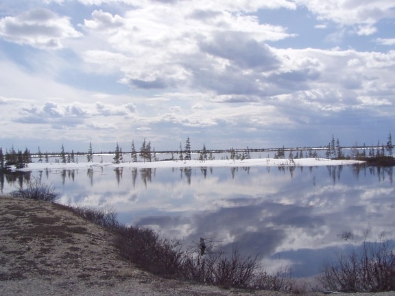 tundra, lake